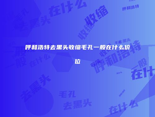 呼和浩特去黑头收缩毛孔一般在什么价位