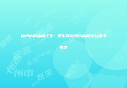 锦州市解志博医生：整形美容领域的翘楚与精湛技艺
