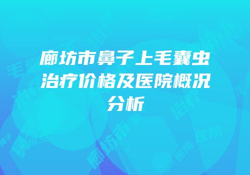 廊坊市鼻子上毛囊虫治疗价格及医院概况分析