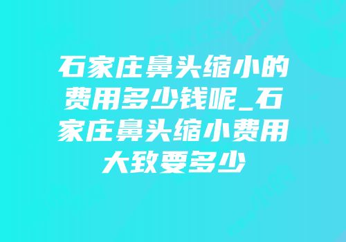 石家庄鼻头缩小的费用多少钱呢_石家庄鼻头缩小费用大致要多少