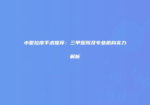小型拉皮手术推荐：三甲医院及专业机构实力解析