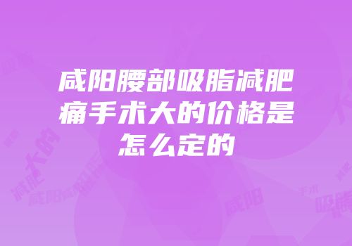 咸阳腰部吸脂减肥痛手术大的价格是怎么定的