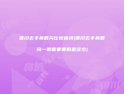 银川去丰鼻唇沟比较省钱(银川去丰鼻唇沟一般需要费用是多少)
