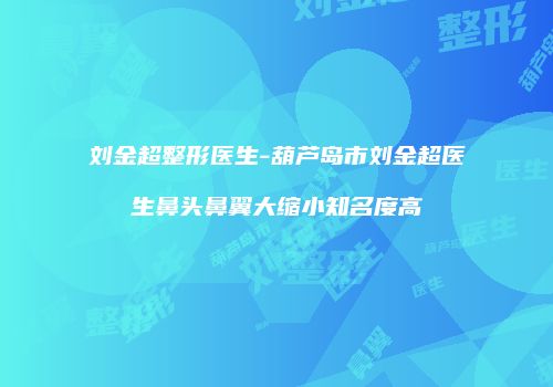 刘金超整形医生-葫芦岛市刘金超医生鼻头鼻翼大缩小知名度高
