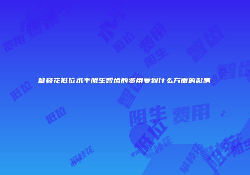攀枝花低位水平阻生智齿的费用受到什么方面的影响
