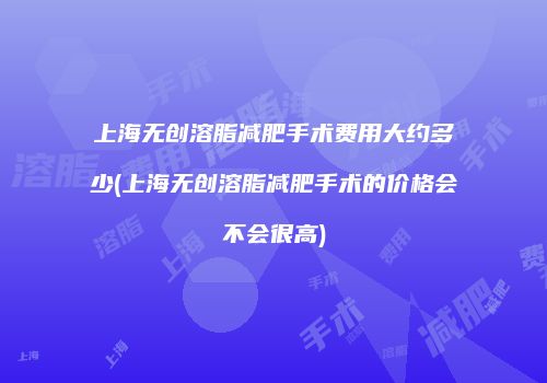上海无创溶脂减肥手术费用大约多少(上海无创溶脂减肥手术的价格会不会很高)