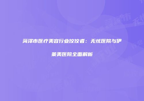 菏泽市医疗美容行业佼佼者：无忧医院与伊莱美医院全面解析
