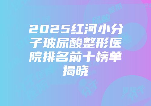 2025红河小分子玻尿酸整形医院排名前十榜单揭晓
