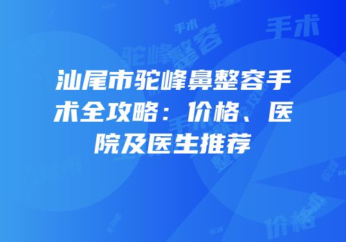 汕尾市驼峰鼻整容手术全攻略：价格、医院及医生推荐
