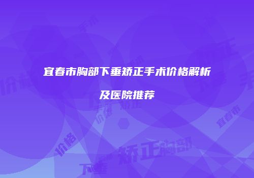 宜春市胸部下垂矫正手术价格解析及医院推荐
