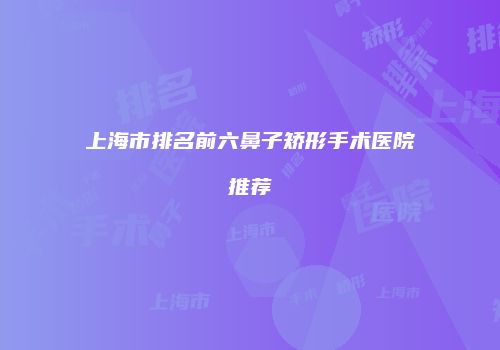 上海市排名前六鼻子矫形手术医院推荐