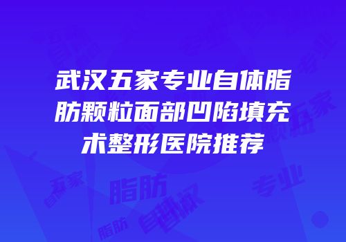 武汉五家专业自体脂肪颗粒面部凹陷填充术整形医院推荐