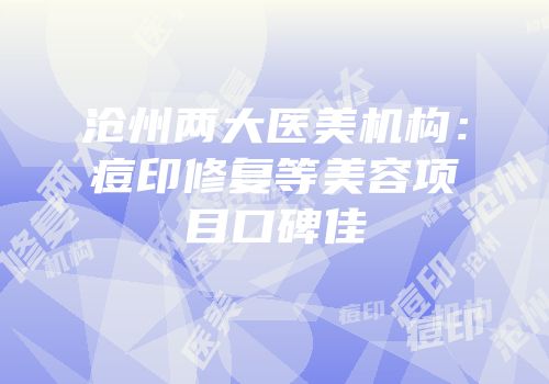 沧州两大医美机构：痘印修复等美容项目口碑佳