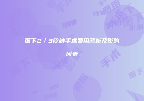 面下2／3除皱手术费用解析及影响因素