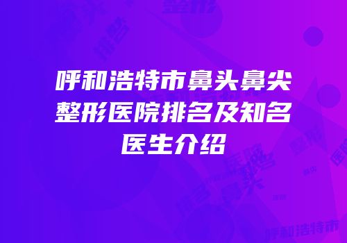 呼和浩特市鼻头鼻尖整形医院排名及知名医生介绍