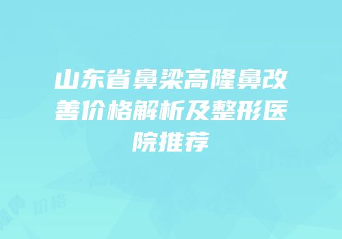 山东省鼻梁高隆鼻改善价格解析及整形医院推荐