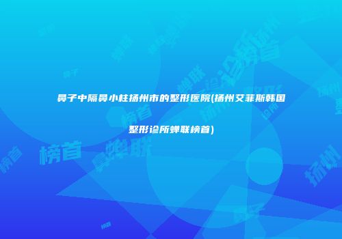 鼻子中隔鼻小柱扬州市的整形医院(扬州艾菲斯韩国整形诊所蝉联榜首)