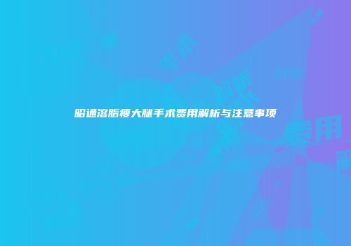 昭通溶脂瘦大腿手术费用解析与注意事项