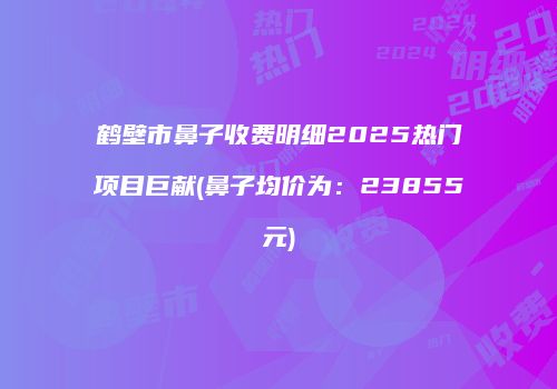 鹤壁市鼻子收费明细2025热门项目巨献(鼻子均价为：23855元)