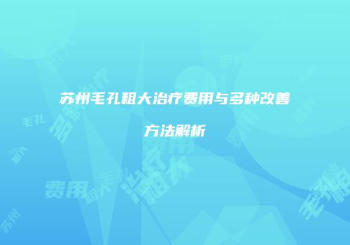苏州毛孔粗大治疗费用与多种改善方法解析
