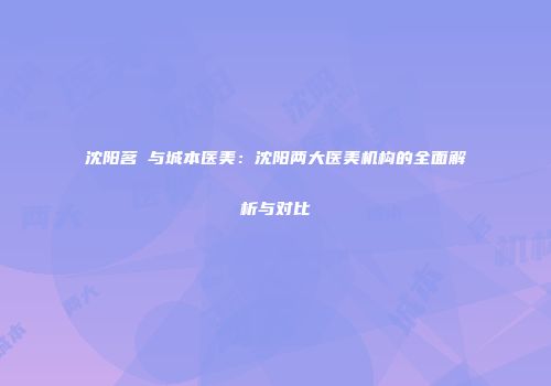 沈阳茗湲与城本医美：沈阳两大医美机构的全面解析与对比