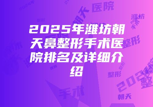 2025年潍坊朝天鼻整形手术医院排名及详细介绍