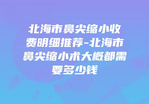 北海市鼻尖缩小收费明细推荐-北海市鼻尖缩小术大概都需要多少钱