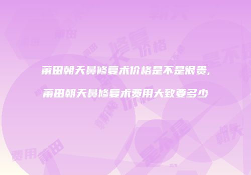 莆田朝天鼻修复术价格是不是很贵,莆田朝天鼻修复术费用大致要多少