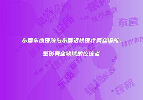 东营东康医院与东营银桃医疗美容诊所：整形美容领域的佼佼者