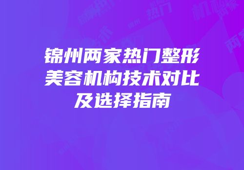 锦州两家热门整形美容机构技术对比及选择指南