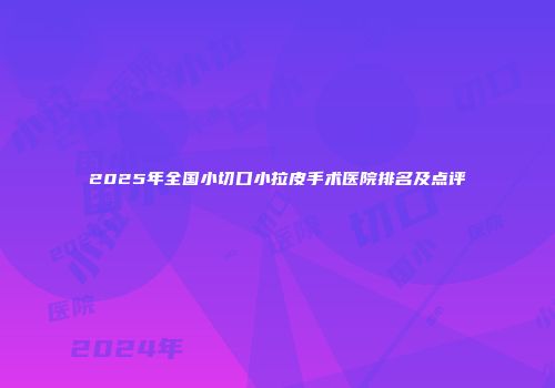 2025年全国小切口小拉皮手术医院排名及点评