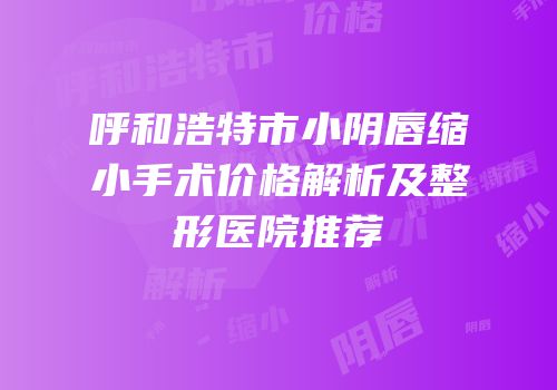 呼和浩特市小阴唇缩小手术价格解析及整形医院推荐