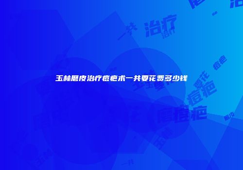 玉林磨皮治疗痘疤术一共要花费多少钱