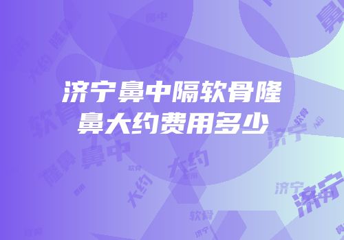 济宁鼻中隔软骨隆鼻大约费用多少