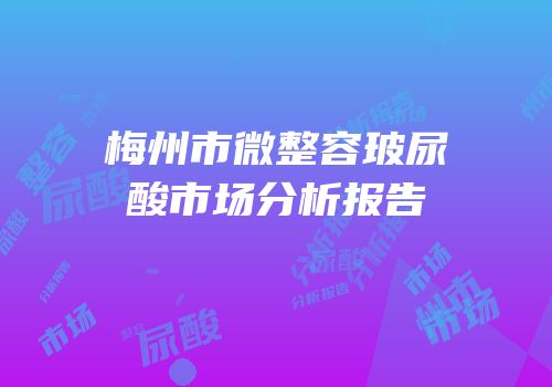 梅州市微整容玻尿酸市场分析报告