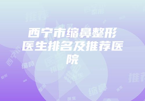 西宁市缩鼻整形医生排名及推荐医院