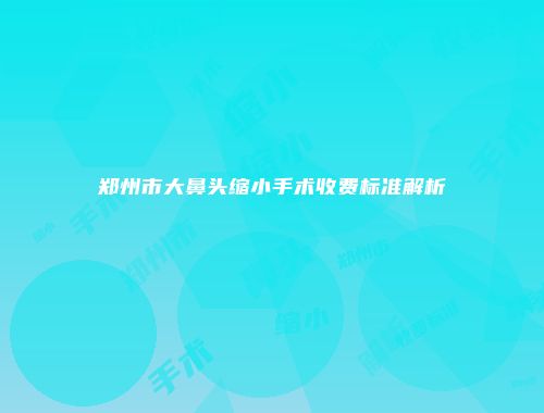 郑州市大鼻头缩小手术收费标准解析