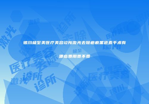 银川极至美医疗美容诊所激光去除疤痕黑色素手术有哪些费用贵不贵