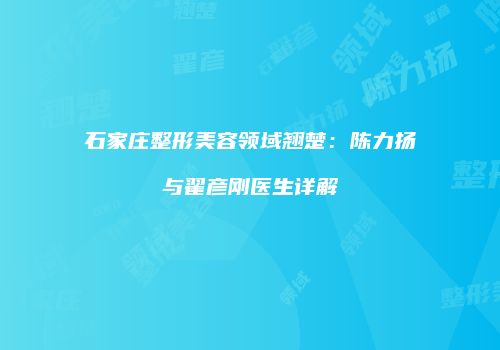 石家庄整形美容领域翘楚：陈力扬与翟彦刚医生详解