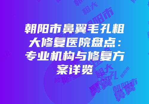 朝阳市鼻翼毛孔粗大修复医院盘点：专业机构与修复方案详览