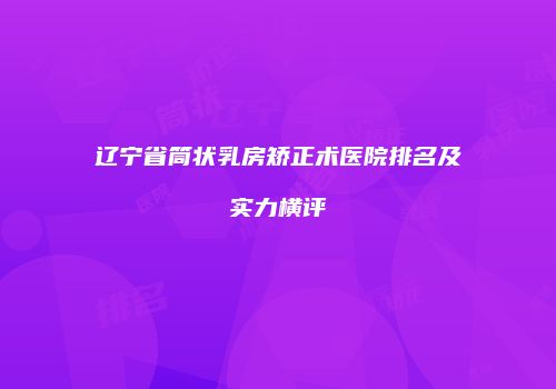 辽宁省筒状乳房矫正术医院排名及实力横评