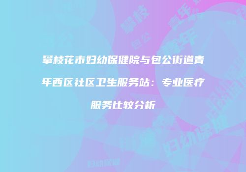 攀枝花市妇幼保健院与包公街道青年西区社区卫生服务站：专业医疗服务比较分析