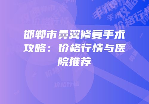 邯郸市鼻翼修复手术攻略：价格行情与医院推荐