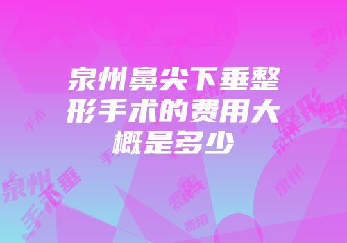 泉州鼻尖下垂整形手术的费用大概是多少