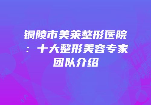 铜陵市美莱整形医院：十大整形美容专家团队介绍