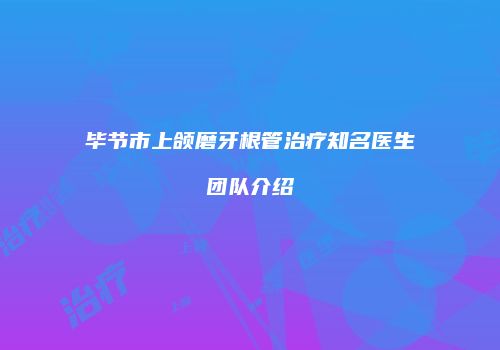 毕节市上颌磨牙根管治疗知名医生团队介绍