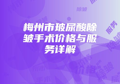 梅州市玻尿酸除皱手术价格与服务详解