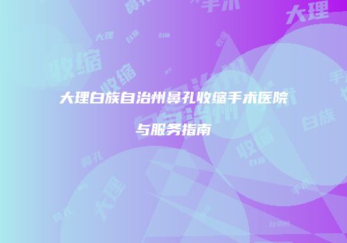 大理白族自治州鼻孔收缩手术医院与服务指南