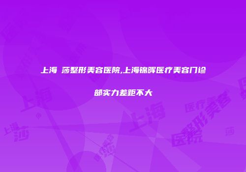 上海聖莎整形美容医院,上海锦晖医疗美容门诊部实力差距不大
