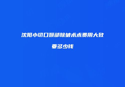 沈阳小切口颞部除皱术术费用大致要多少钱